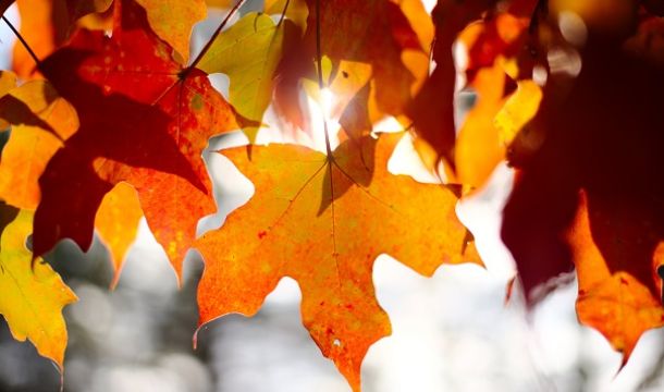 September